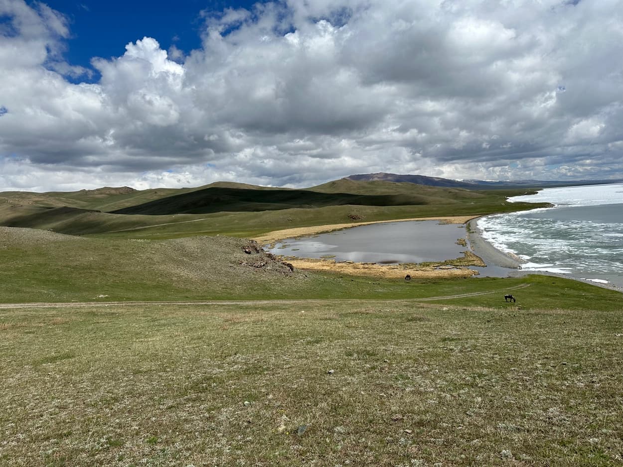 후기 이미지 3