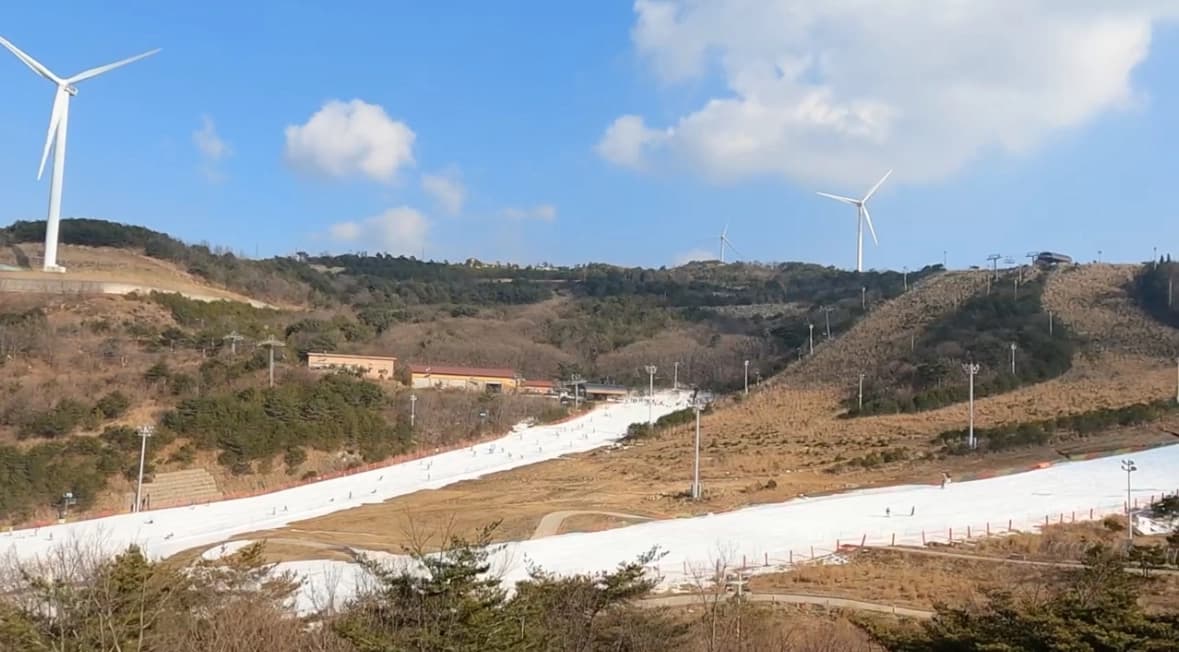 후기 이미지 1