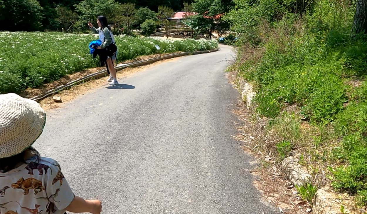 후기 이미지 1