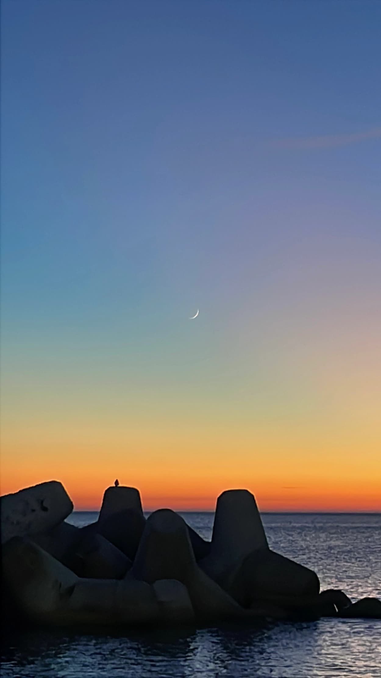 후기 이미지 1