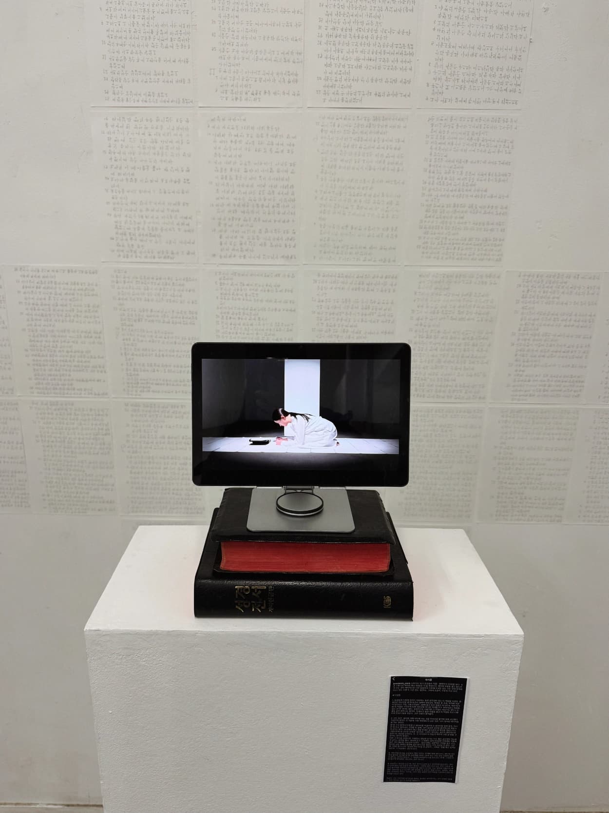 주수빈님의 리뷰 대표 사진